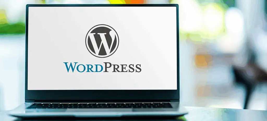 wordpres plugins developer