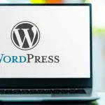 wordpres plugins developer