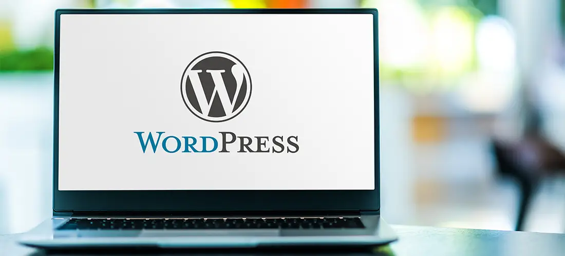 wordpres plugins developer
